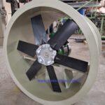 axial (3)