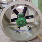 axial (4)